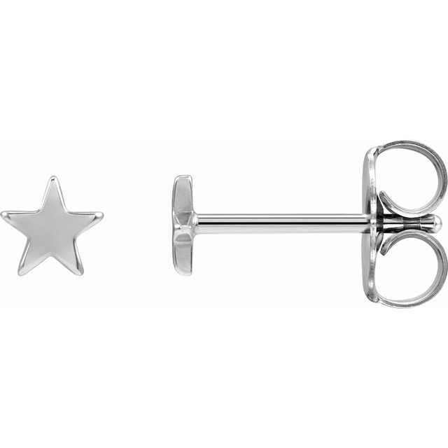 Star Friction Post & Back Earrings