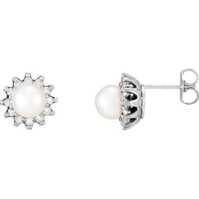14K Cultured Akoya Pearl & 1/3 CTW Natural Diamond Earrings