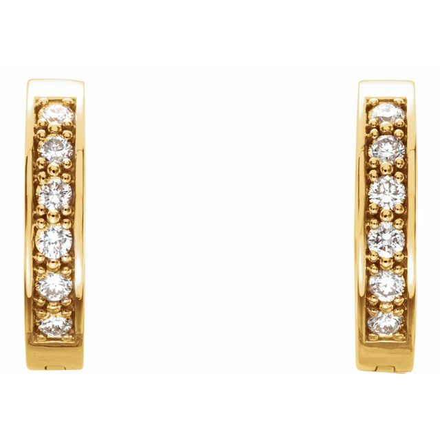 14K 1/2 CTW Natural Diamond Inside-Outside Hoop Earrings