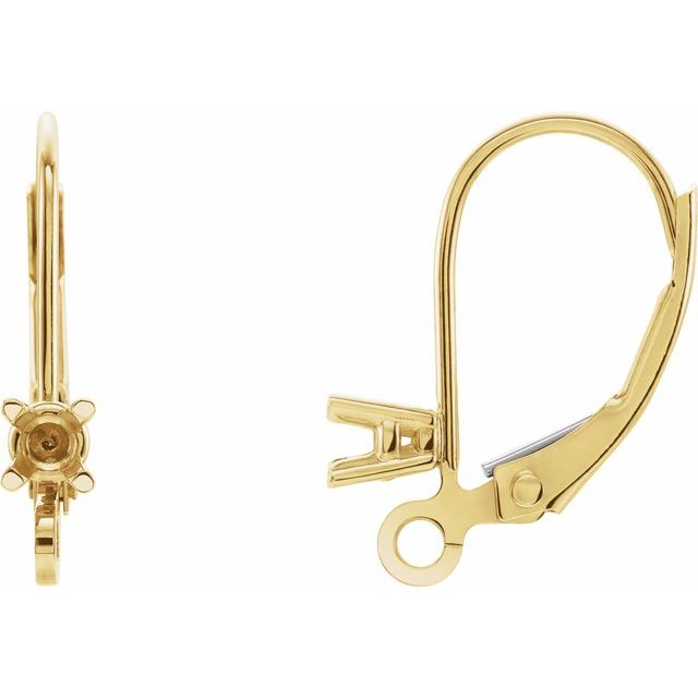 14K .06 CTW Natural Diamond Lever Back Earring Top