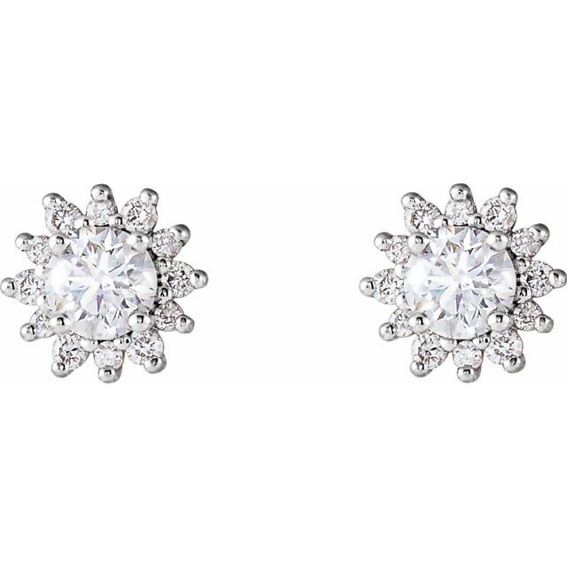 14K 1/2 CTW Natural Diamond Halo-Style Earrings