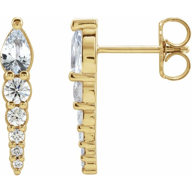 14K Natural Sapphire & 1/4 CTW Natural Diamond Earrings
