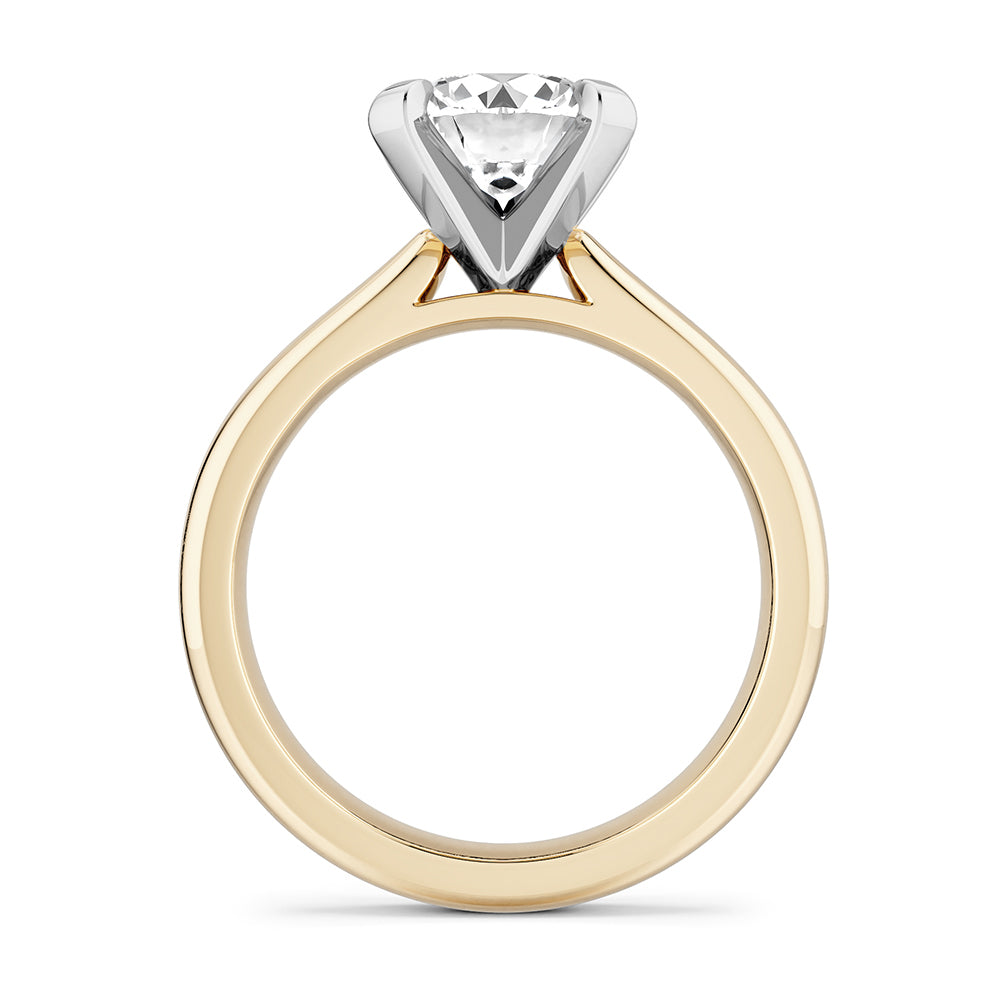 Noam Carver Engagement Ring B478-01 in 14K Yellow Shank with White Head