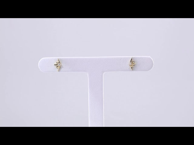 14K .03 CTW Natural Diamond Starburst Earrings
